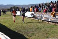 cross24_48_small.jpg
