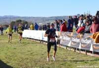 cross24_51_small.jpg