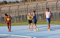 foligno25_063_small.jpg