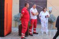 img_8375_small.jpg