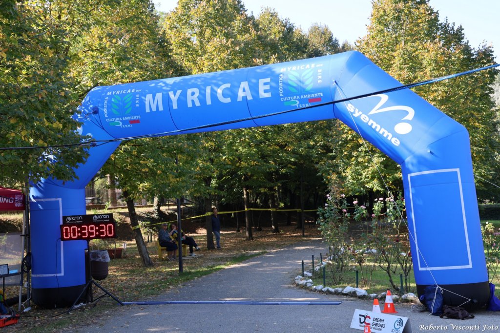 myricae26_001.jpg