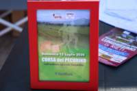 pecorino26_055_small.jpg