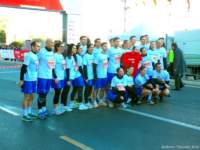 roma_line5k_25_010_small.jpg