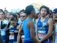 roma_line5k_25_025_small.jpg