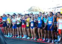 roma_line5k_25_037_small.jpg