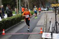 stracospea25_013_small.jpg