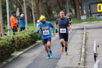 stracospea25_038_small.jpg