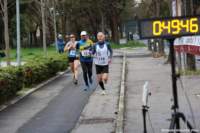 stracospea25_045_small.jpg