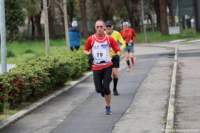 stracospea25_077_small.jpg