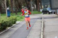 stracospea25_005_small.jpg