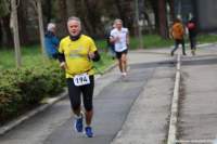 stracospea25_014_small.jpg