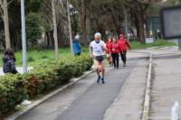 stracospea25_030_small.jpg