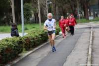 stracospea25_031_small.jpg