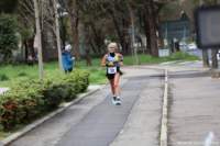 stracospea25_035_small.jpg
