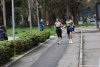 stracospea25_041_small.jpg