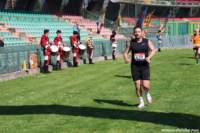 strad25_114_small.jpg