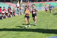 strad25_125_small.jpg