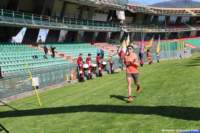 strad25_084_small.jpg