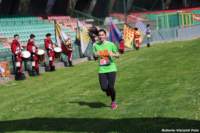 strad25_015_small.jpg
