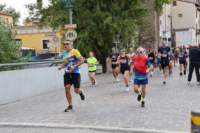 strad10_2026_100_small.jpg