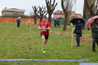 strozcp_25_051_small.jpg
