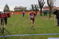 strozcp_25_060_small.jpg