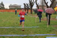 strozcp_25_004_small.jpg