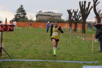 strozcp_25_023_small.jpg