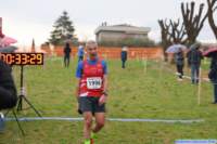 strozcp_25_035_small.jpg