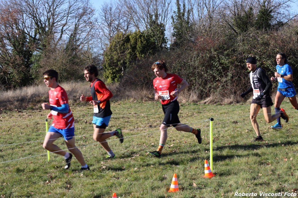 cross24_17.jpg