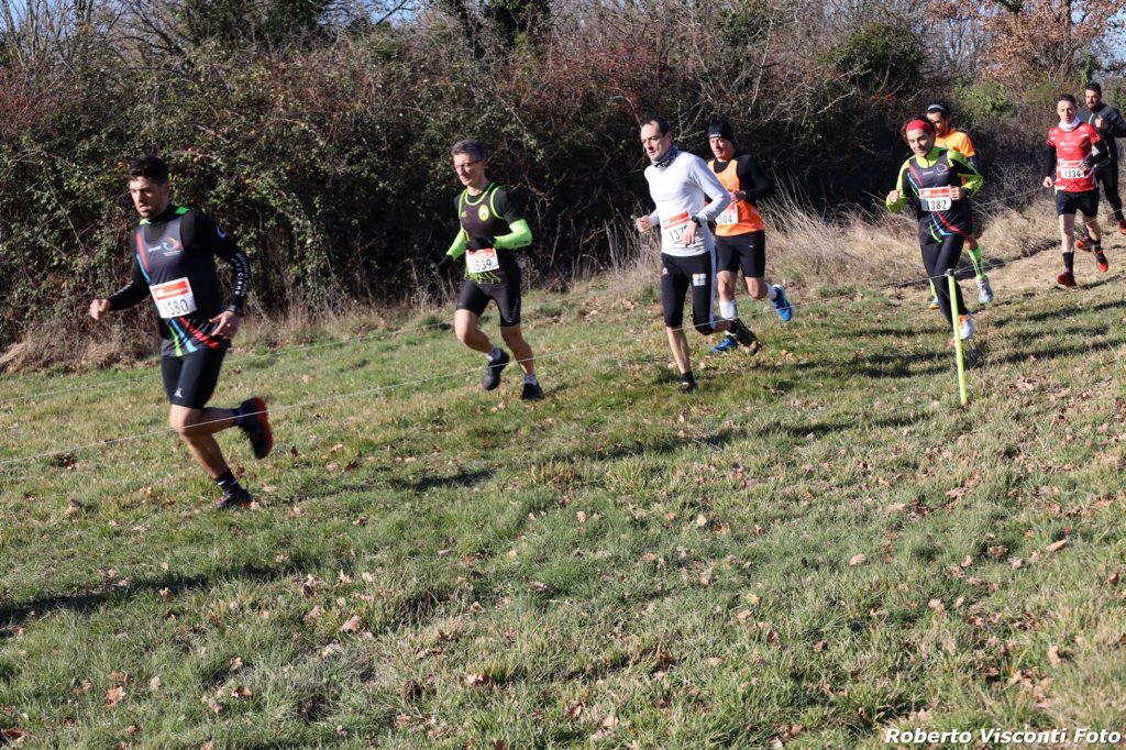 cross24_23.jpg