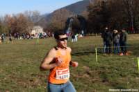 cross24_66_small.jpg