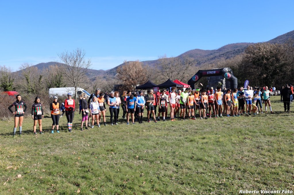 cross24_71.jpg