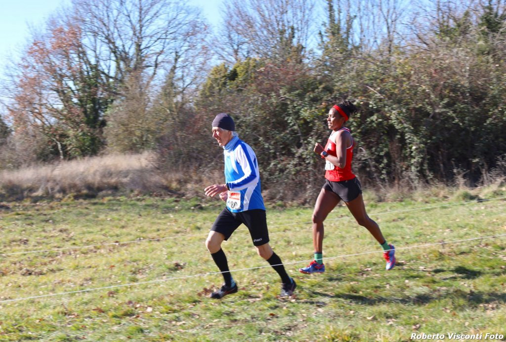 cross24_19.jpg