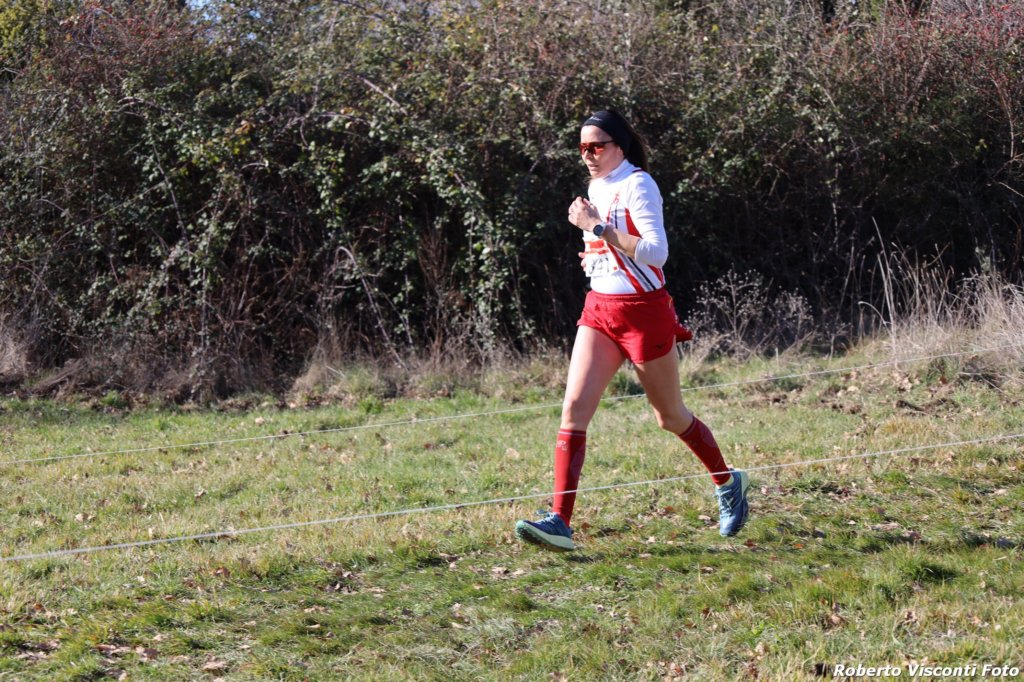 cross24_29.jpg