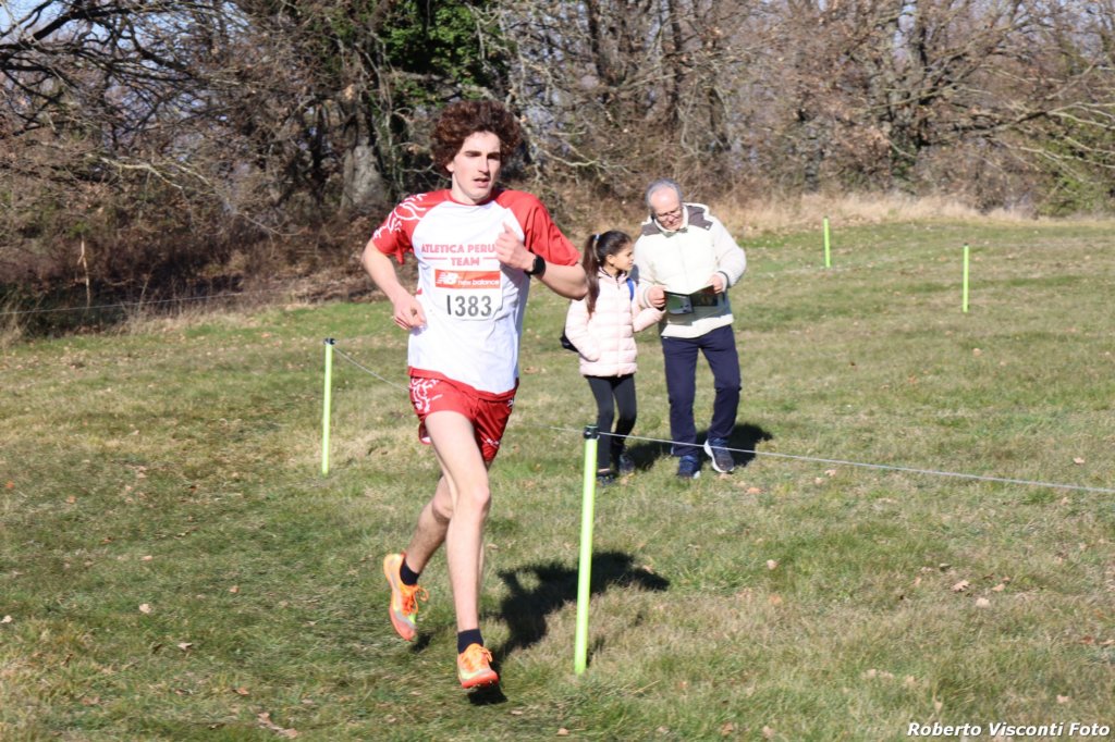 cross24_36.jpg