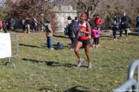 cross24_40_small.jpg