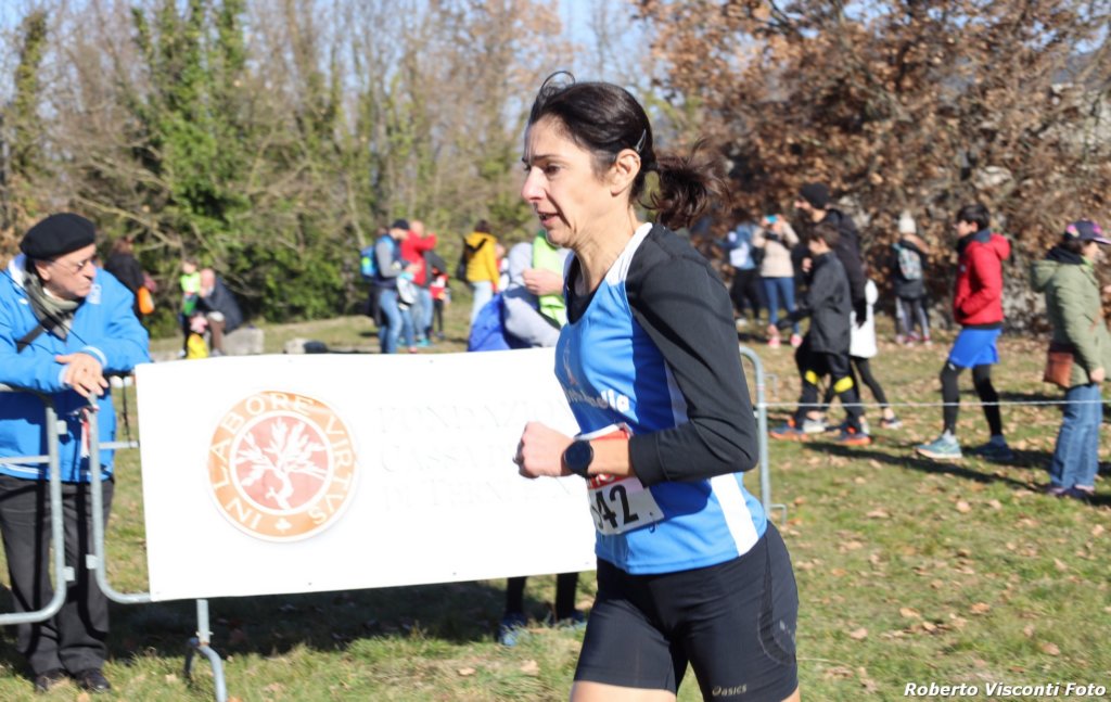 cross24_41.jpg