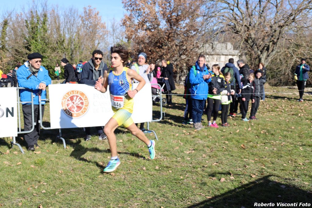 cross24_51.jpg