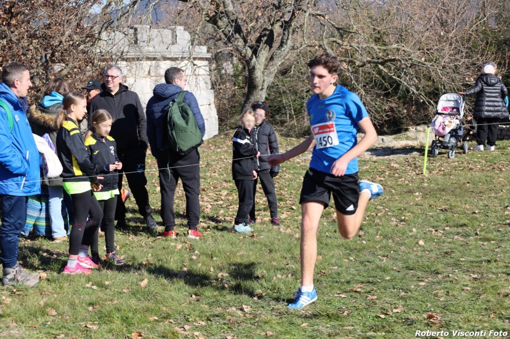 cross24_16.jpg