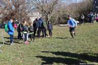 cross24_22_small.jpg