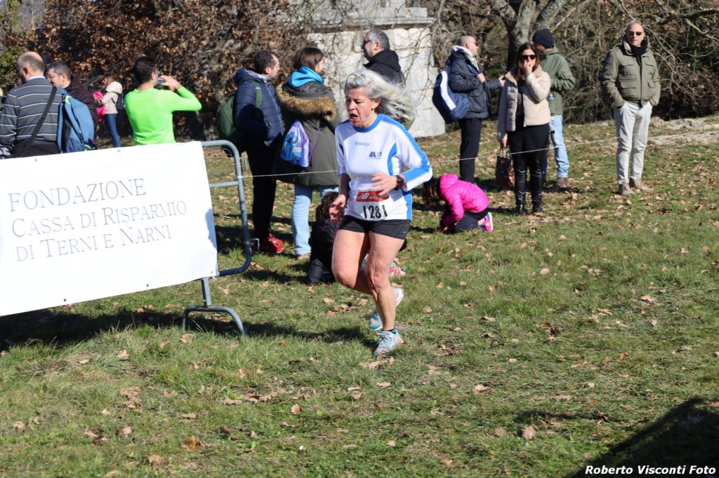 cross24_42.jpg