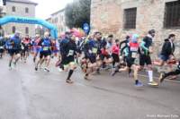 lupo25_021_small.jpg