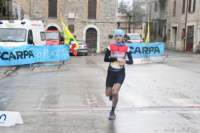lupo25_028_small.jpg
