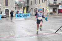 lupo25_029_small.jpg