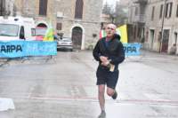 lupo25_045_small.jpg