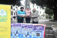 troclupo086_small.jpg