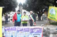 troclupo093_small.jpg